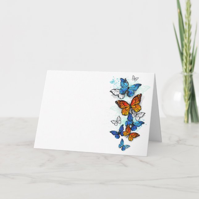 Flygande Butterflies Morpho och Monarch Program (Framsida)