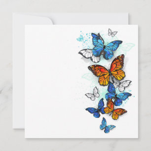 Flygande Butterflies Morpho och Monarch Spara Datumet