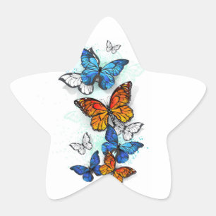 Flygande Butterflies Morpho och Monarch Stjärnformat Klistermärke