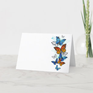 Flygande Butterflies Morpho och Monarch Tack Kort