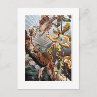 Flygande Dragon Vykort