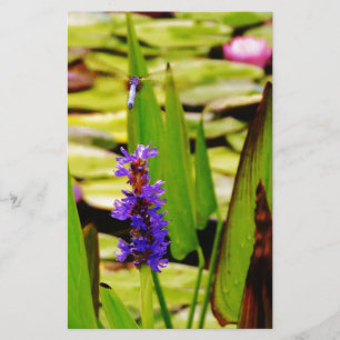 Flygande Dragonfly Brevpapper