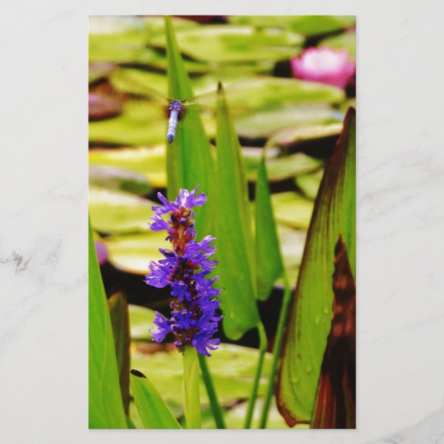 Flygande Dragonfly Brevpapper (Framsida)