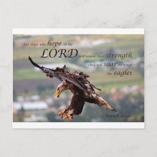 Flygande Eagle Bible Verse.jpg Vykort