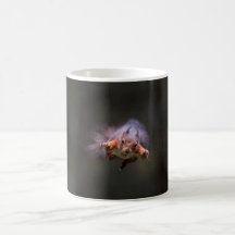 Flygande ekorre Mugg