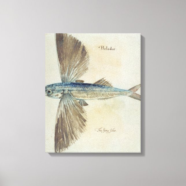 Flygande fisk canvastryck (Framsida)
