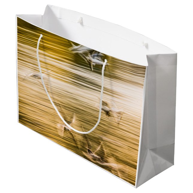 Flygande fiskmåsar - abstrakt (Baksidan Vinklad)