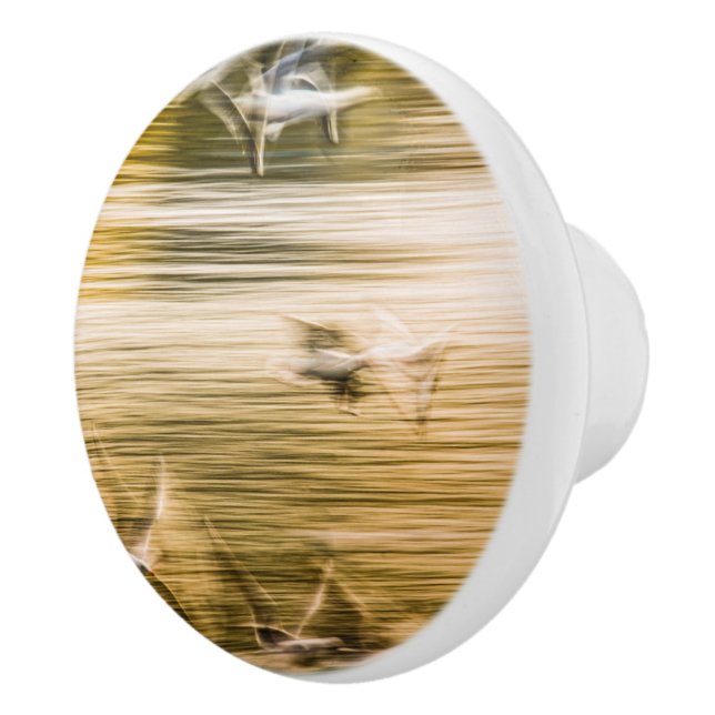 Flygande fiskmåsar - abstrakt knopp (Höger)