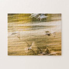 Flygande fiskmåsar - abstrakt pussel