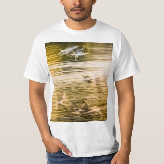 Flygande fiskmåsar - abstrakt t shirt (Framsida)