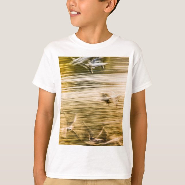 Flygande fiskmåsar - abstrakt t shirt (Framsida)