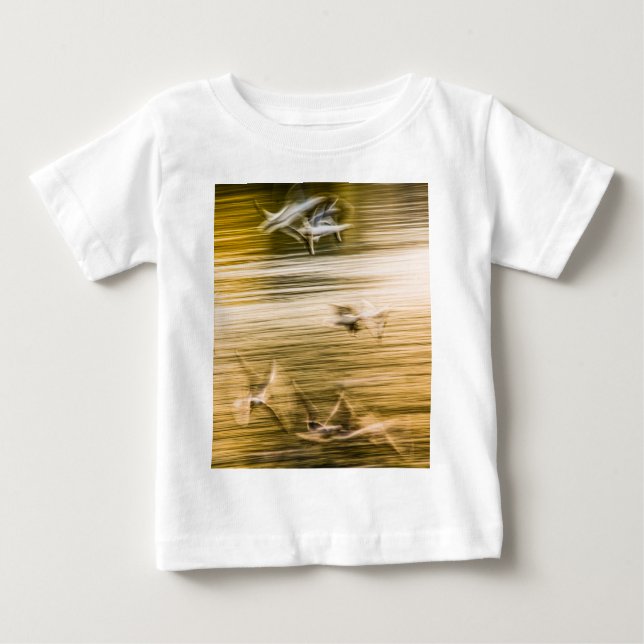 Flygande fiskmåsar - abstrakt t shirt (Framsida)