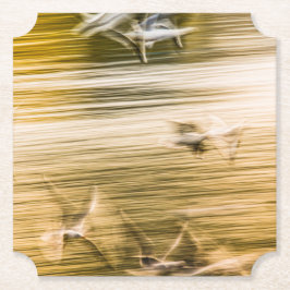 Flygande fiskmåsar - abstrakt underlägg papper