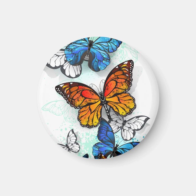 Flygande fjärilar Morpho och Monarch Magnet (Framsidan)