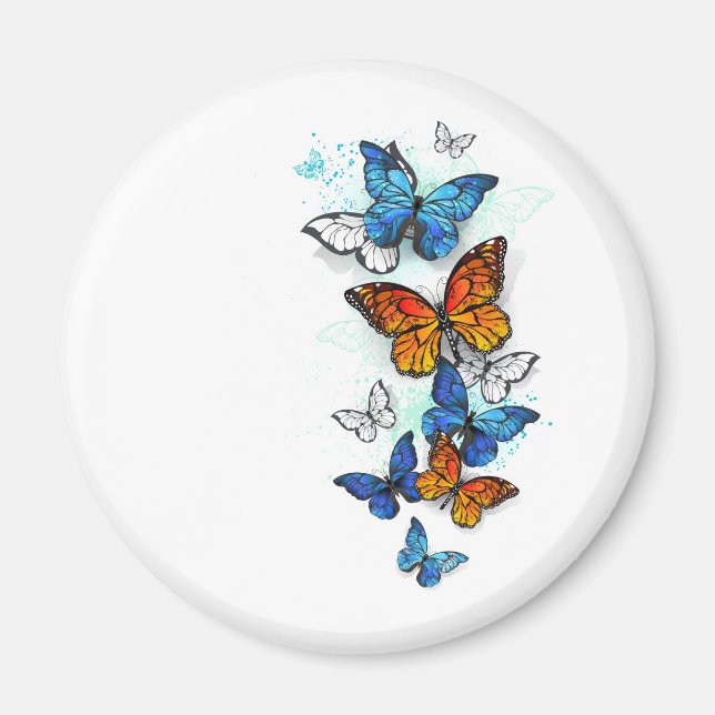 Flygande fjärilar Morpho och Monarch Magnet (Framsidan)