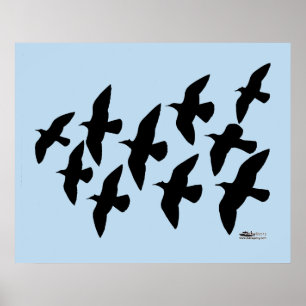 Flygande flygbesprutning poster