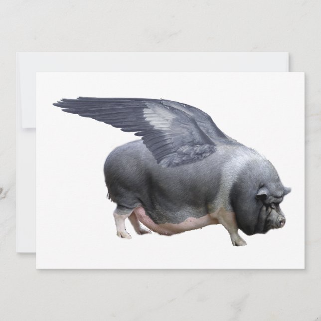 flygande gris (Framsida)