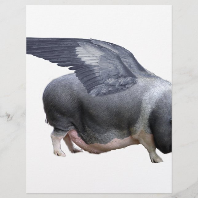 flygande gris (Framsida)