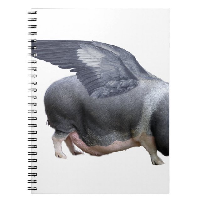 flygande gris anteckningsbok med spiral (Framsidan)