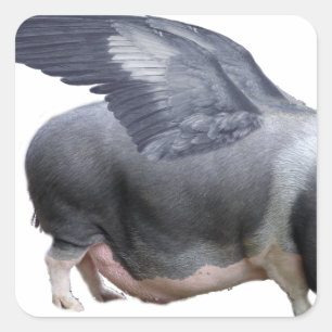 flygande gris fyrkantigt klistermärke