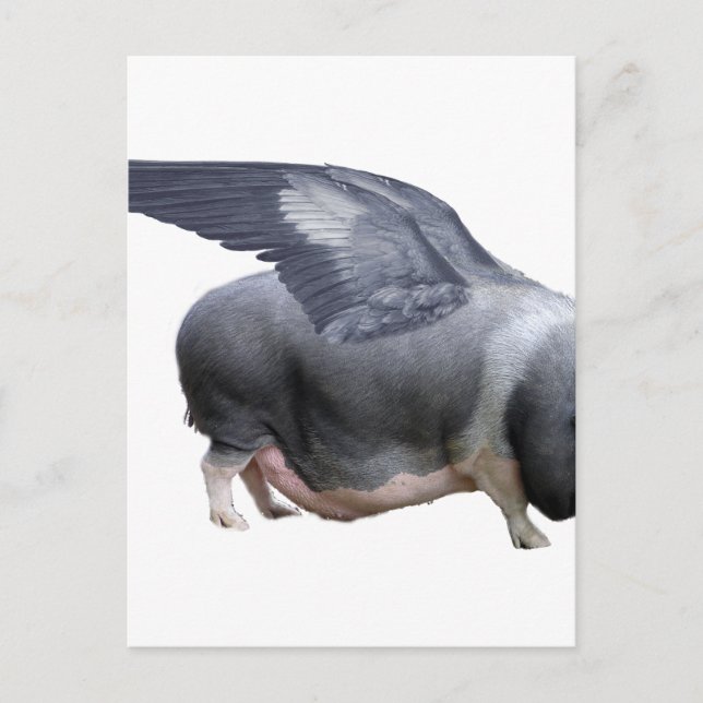 flygande gris vykort (Framsida)