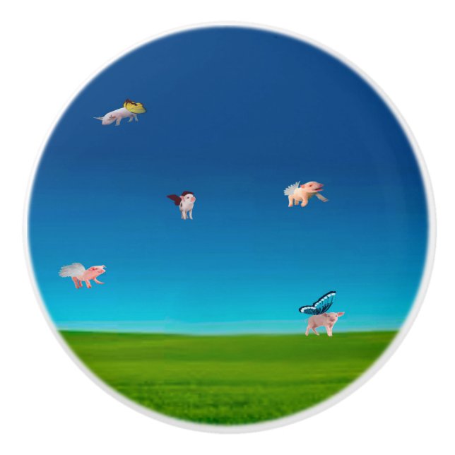 Flygande Grisar Knob Knopp (Framsidan)