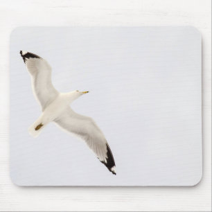 Flygande Gull Musmatta