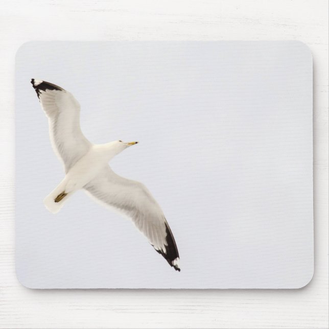 Flygande Gull Musmatta (Framsidan)