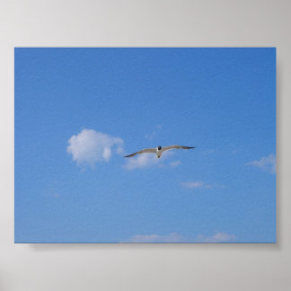 Flygande Gull Poster
