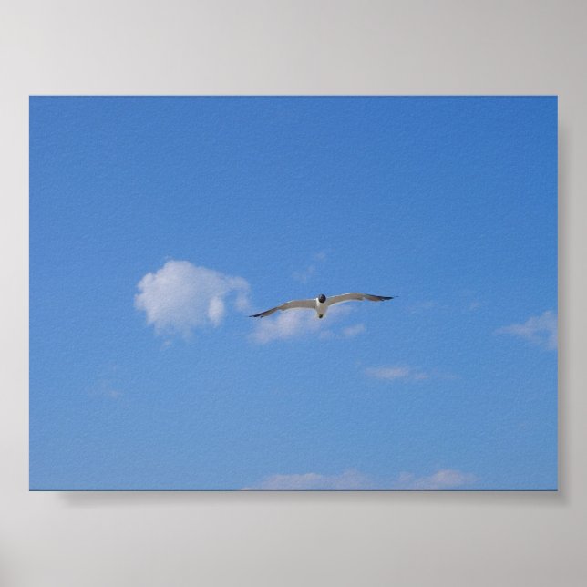 Flygande Gull Poster (Framsidan)