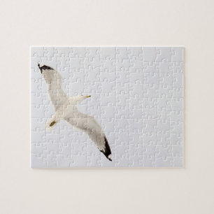 Flygande Gull Pussel