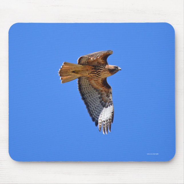 Flygande juvenile Red-Tails Hawk Wildlife Mousepad Musmatta (Framsidan)