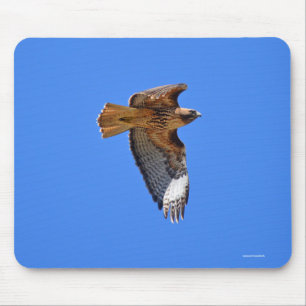 Flygande juvenile Red-Tails Hawk Wildlife Mousepad Musmatta