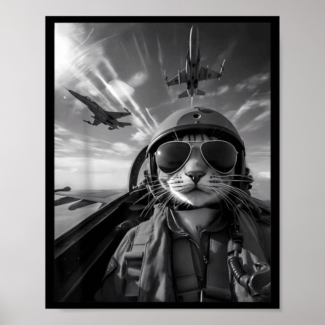 Flygande katt selfie rolig stridsflygare meme jet  poster (Framsidan)
