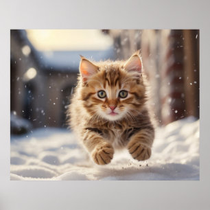 *~* Flygande Kattunge 5:4 Kitten Katt AP68 Poster