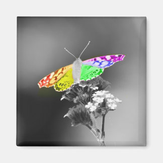 Flygande med Pride Magnet