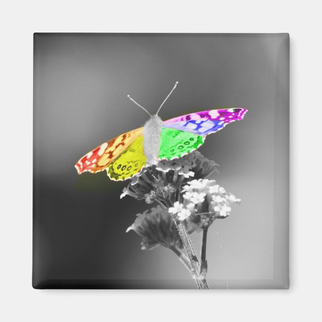 Flygande med Pride Magnet (Framsidan)