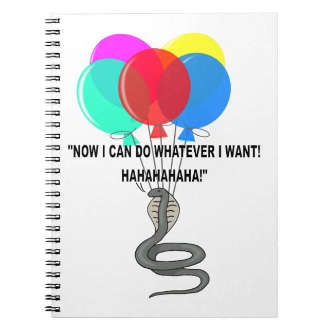 Flygande orm anteckningsbok (Framsidan)