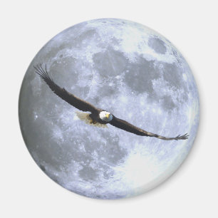Flygande ÖRN & FULL MOON Wildlife Magnet