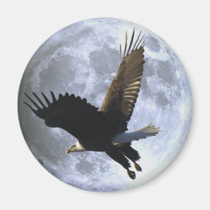 Flygande ÖRN & FULL MOON Wildlife Magnet