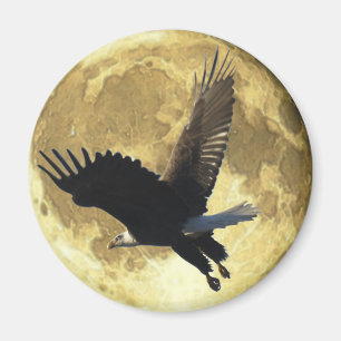 Flygande ÖRN & FULL MOON Wildlife Magnet