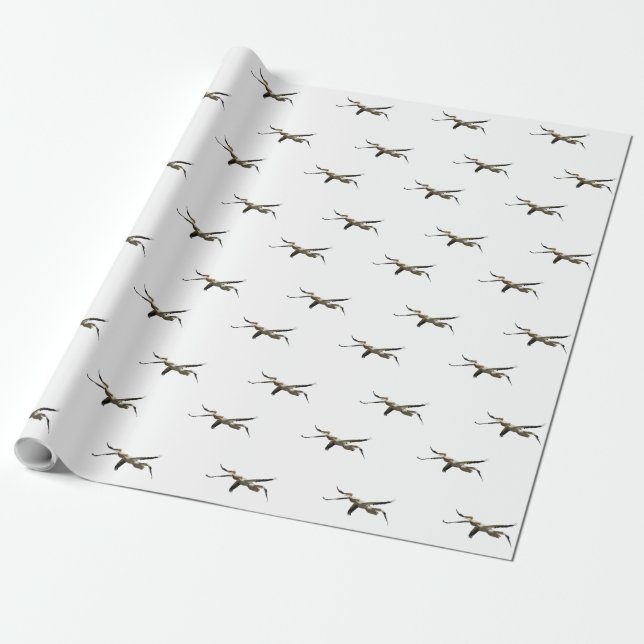 Flygande persikan 3 presentpapper (Utrullad)