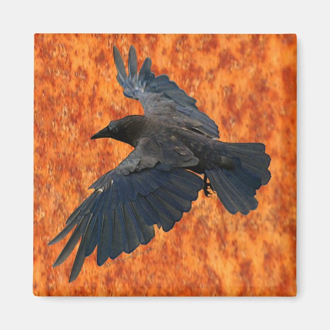 Flygande räv, Kråka och Rustic Grunge Art Magnet (Framsidan)