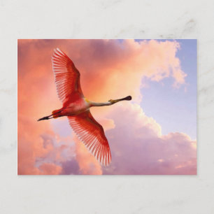 Flygande roseatspoonbill vykort