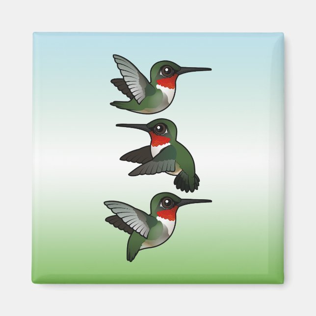 Flygande ruby-troated Hummingbird Magnet (Framsidan)