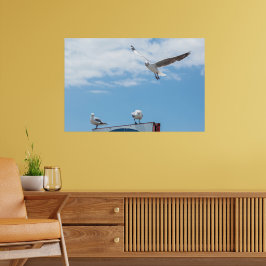 Flygande sittande måsar fåglar blå himmel poster