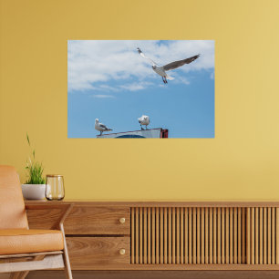 Flygande sittande måsar fåglar blå himmel poster