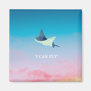 Flygande skiva magnet