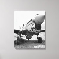Flygande Tigrar P-40 Warhawk, 1941