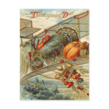 Flygande turkiskt flygplansdockor äppelpärm Maj